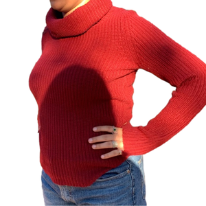 The Limited Cranberry Turtleneck Sweater